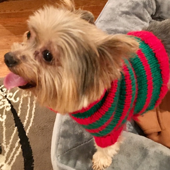 Hand knitted accessories - Picture 11 of 13